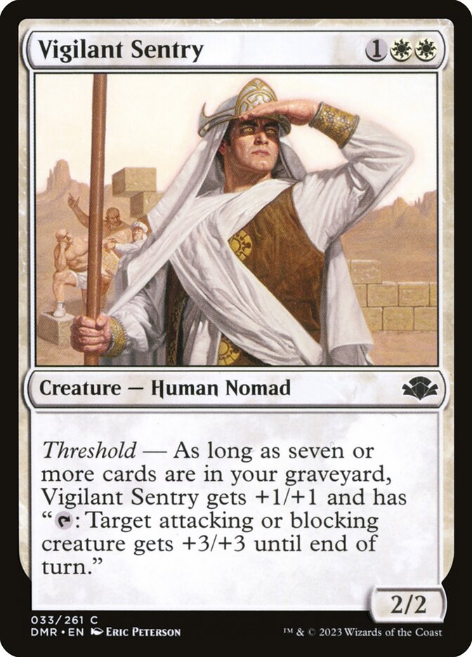 image Vigilant Sentry