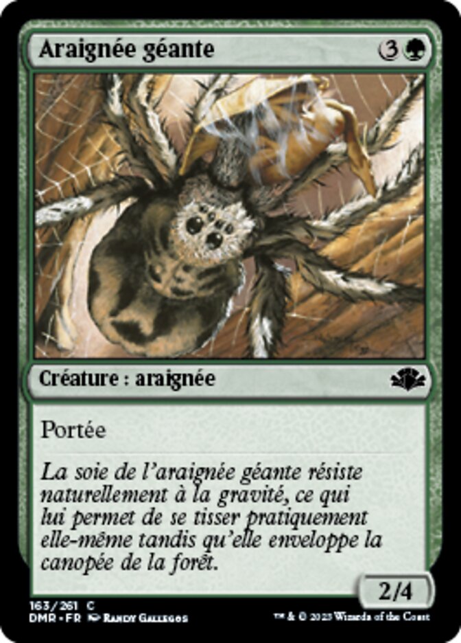 image Araignée géante