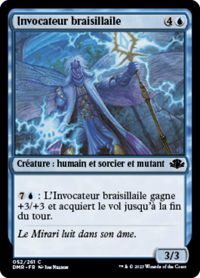 image Invocateur braisillaile