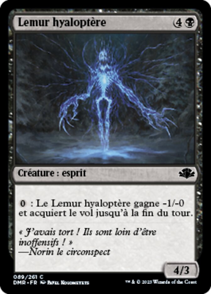 image Lemur hyaloptère