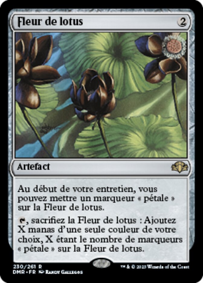 image Fleur de lotus