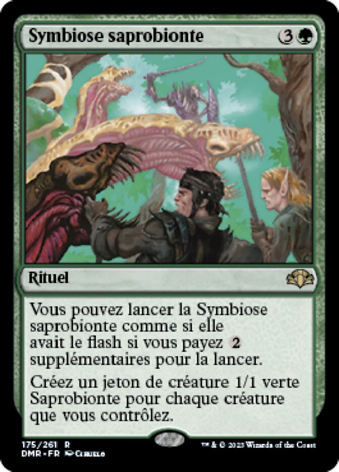 image Symbiose saprobionte