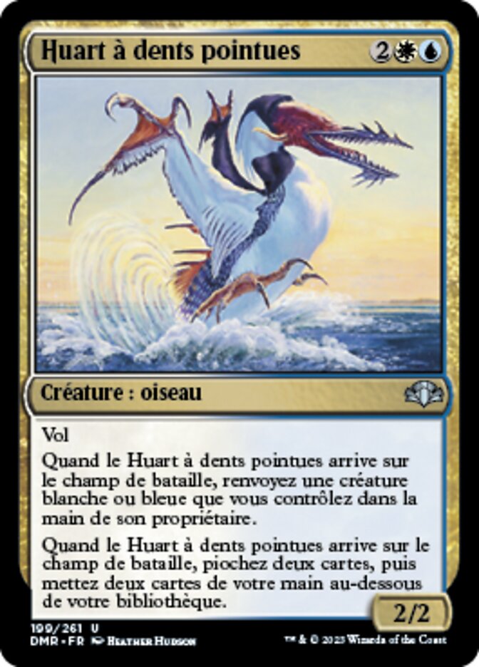 image Huart à dents pointues