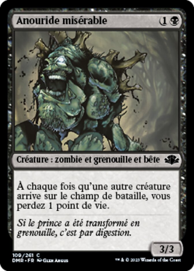 image Anouride misérable