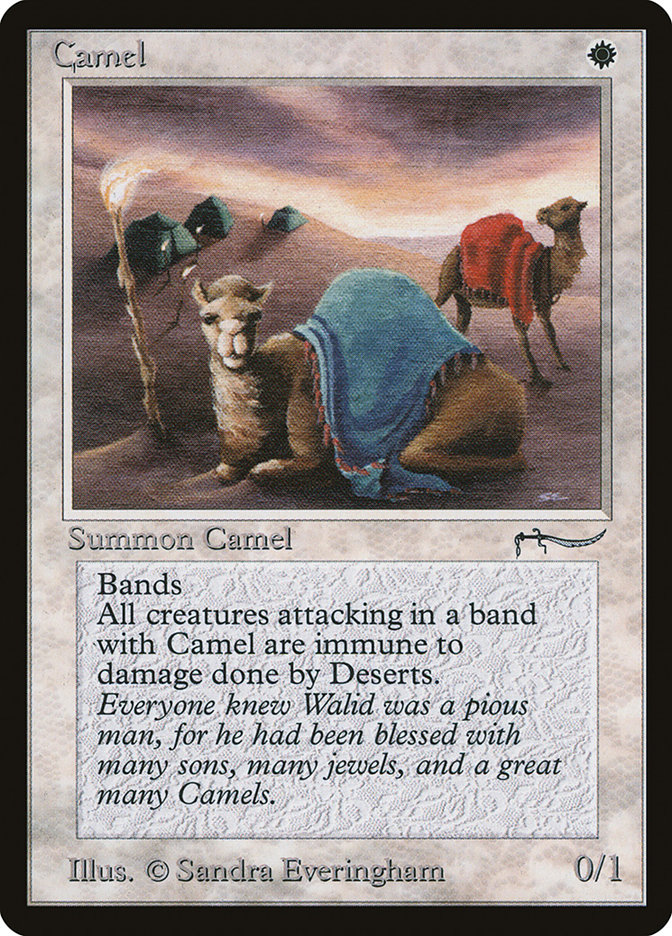 image Camel
