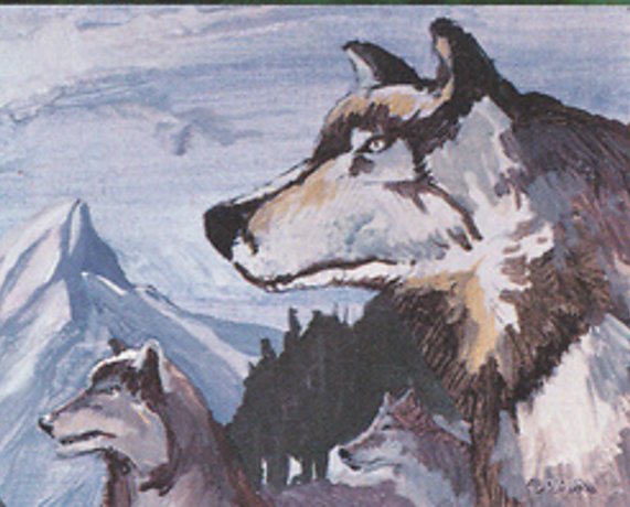 Wolfsblut