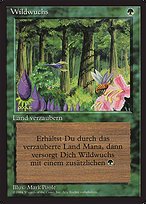 Wildwuchs