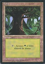 Forêt