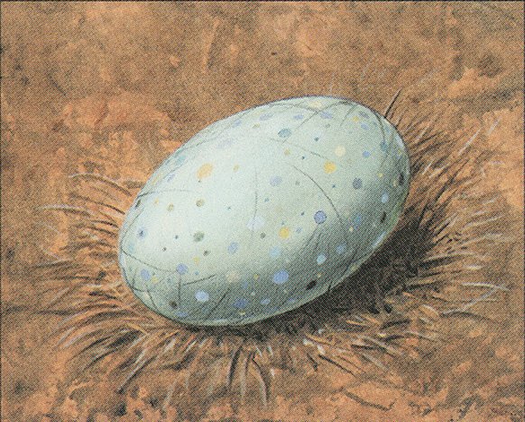 Dingus Egg