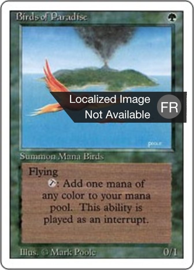 image Oiseaux de paradis