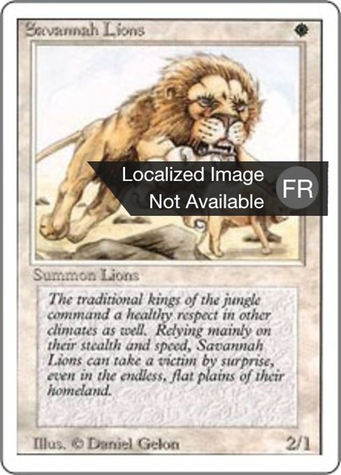image Lions des savanes