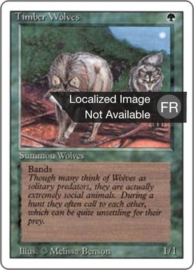 image Loups des forêts