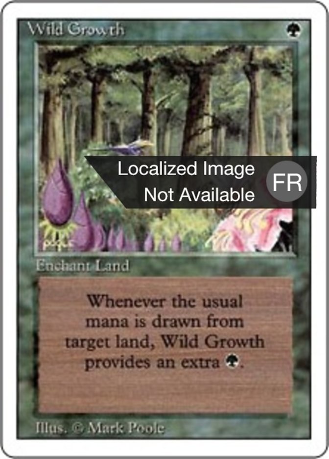 image Végétation luxuriante