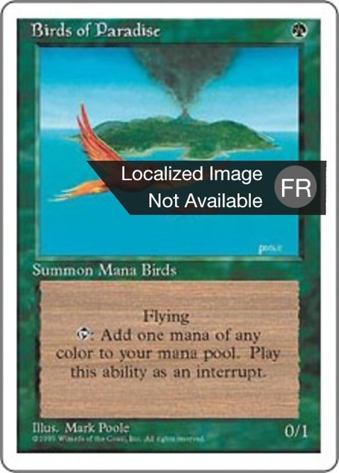 image Oiseaux de paradis