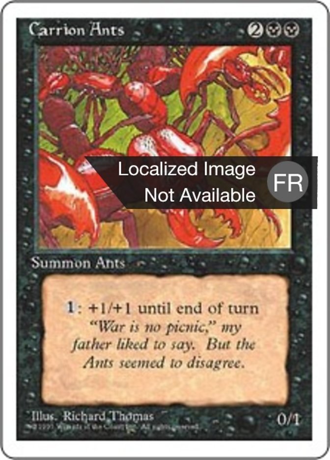 image Fourmis charognardes