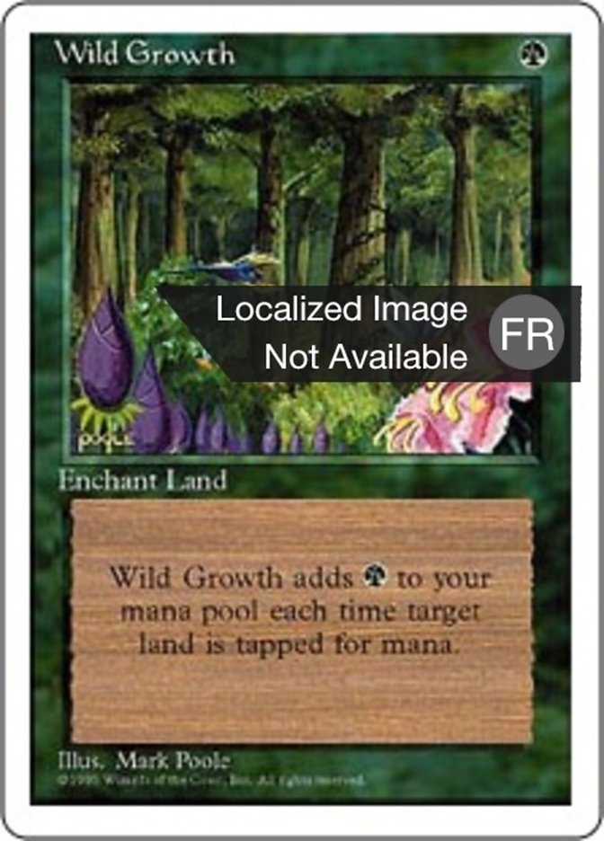 image Végétation luxuriante