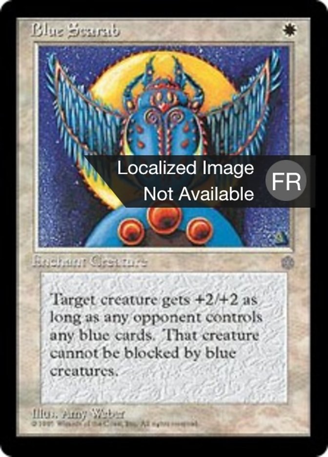 image Scarabée bleu