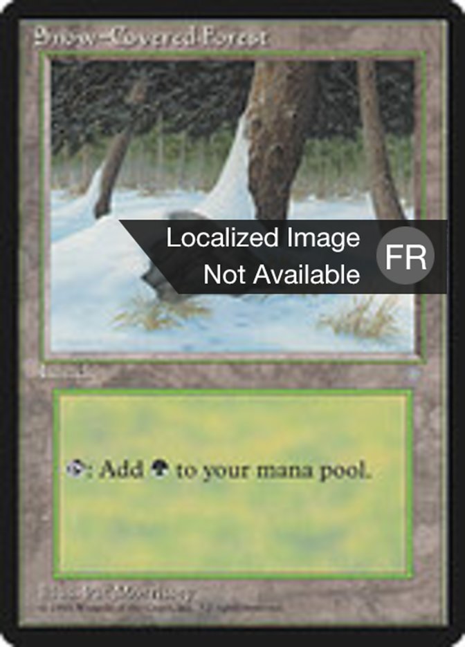 image Forêt enneigée