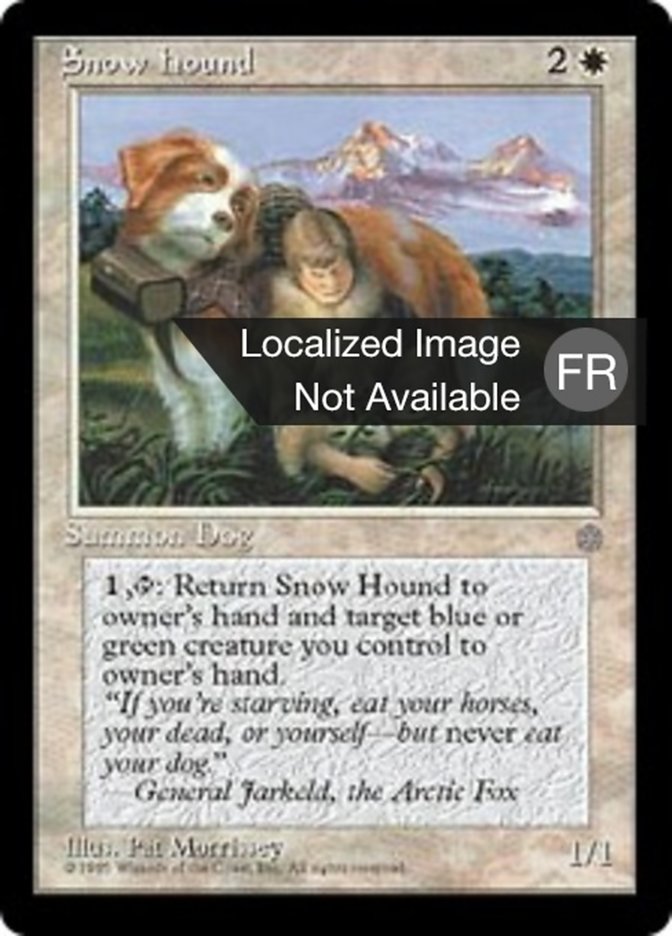 image Chien de chasse des neiges