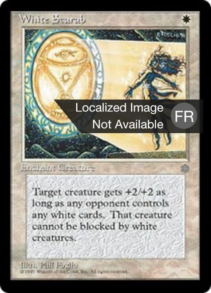 image Scarabée blanc