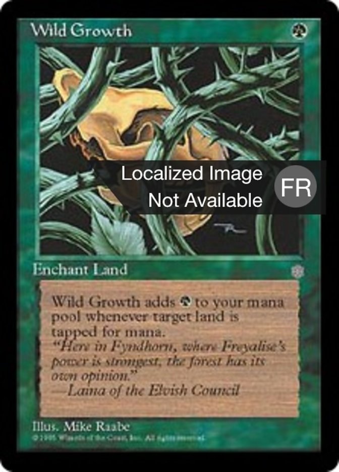 image Végétation luxuriante