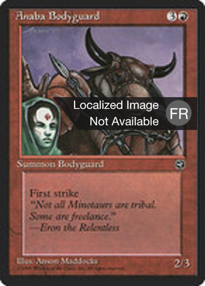 image Garde du corps anabaan