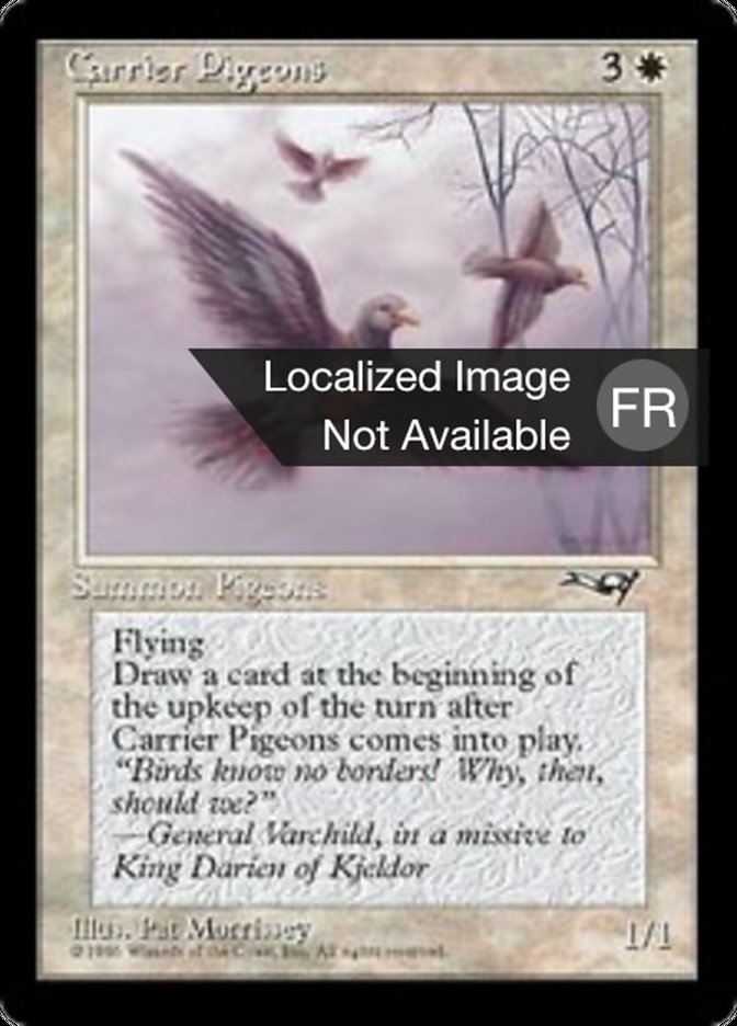 image Pigeons voyageurs