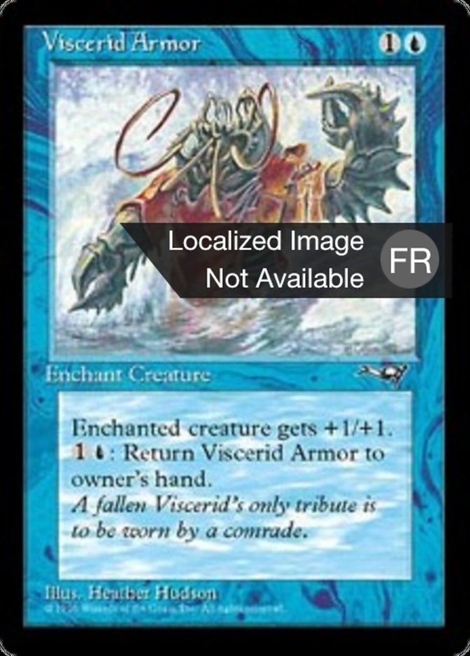 image Armure viscéride