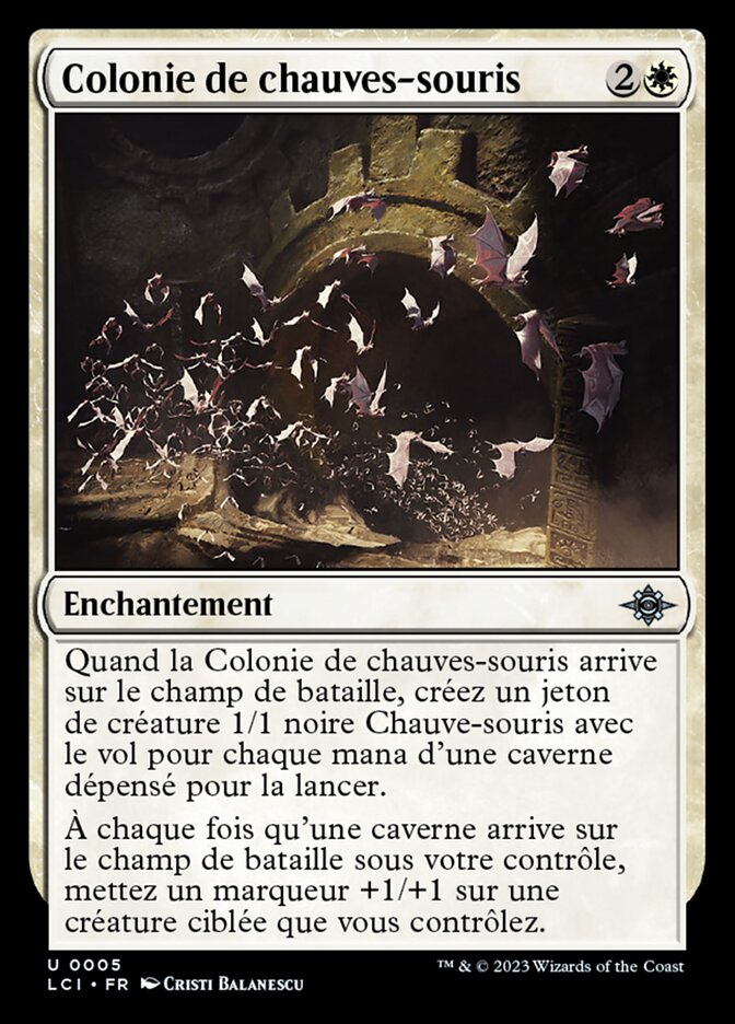 image Colonie de chauves-souris