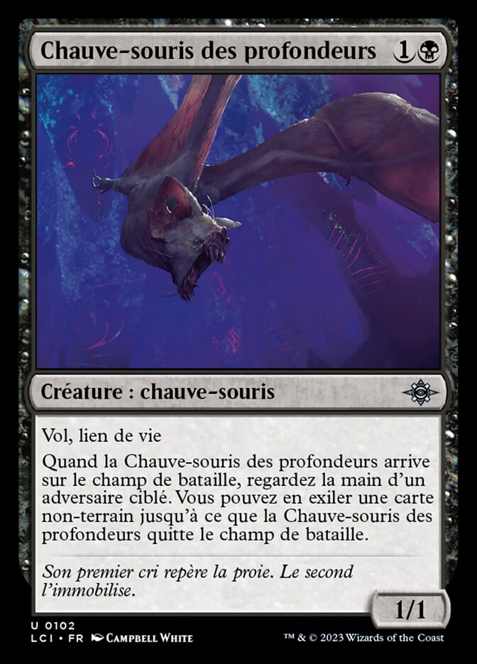 image Chauve-souris des profondeurs