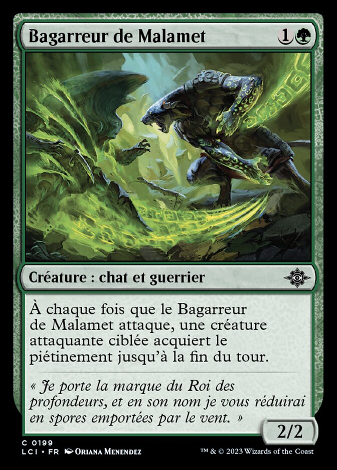 image Bagarreur de Malamet