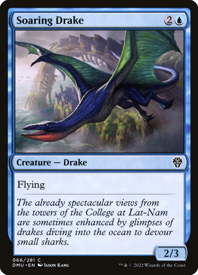 image Soaring Drake