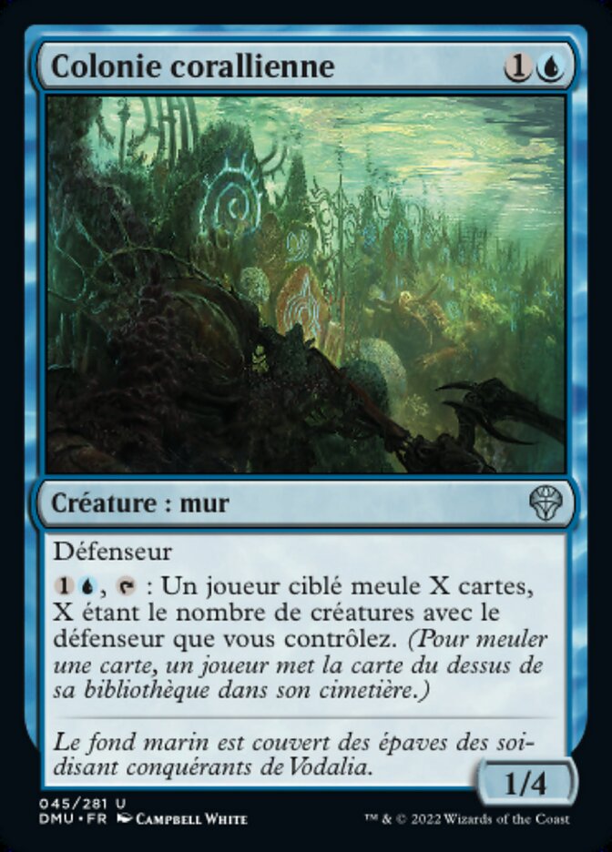 image Colonie corallienne