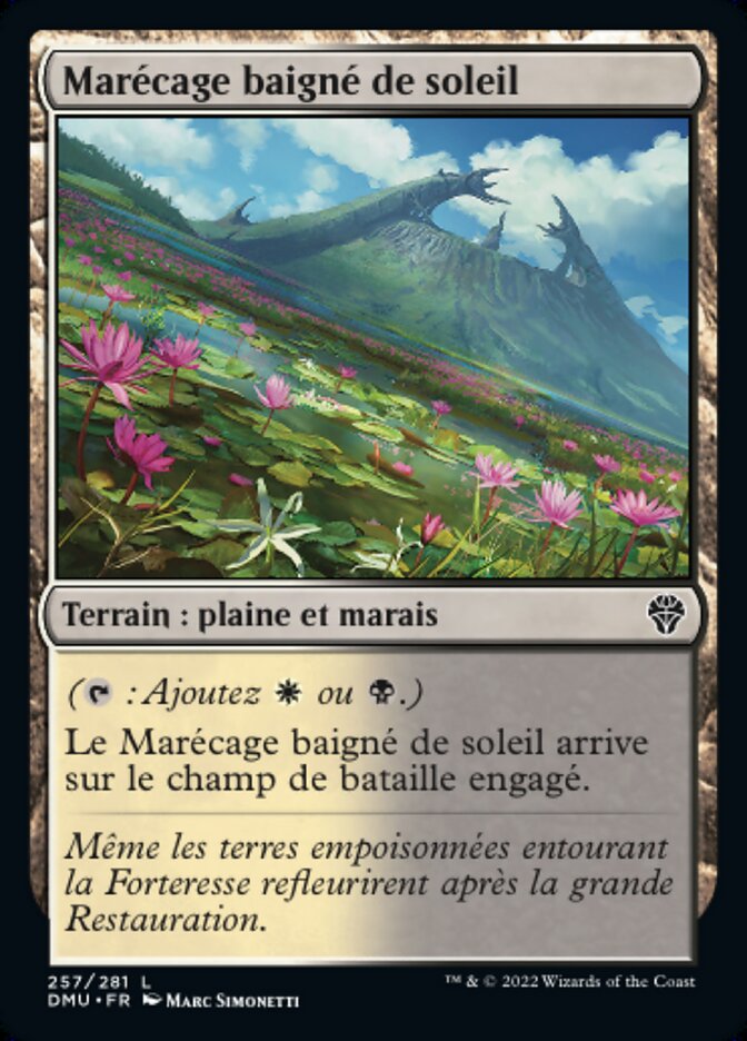 image Marécage baigné de soleil