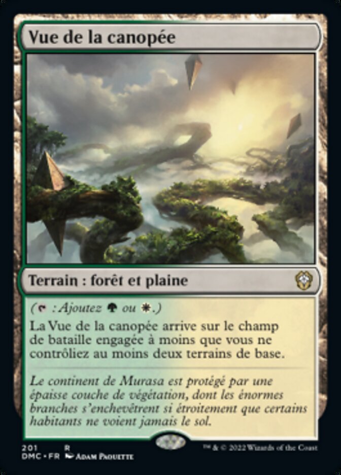 image Vue de la canopée