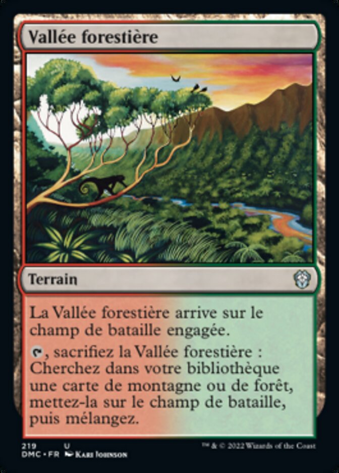 image Vallée forestière