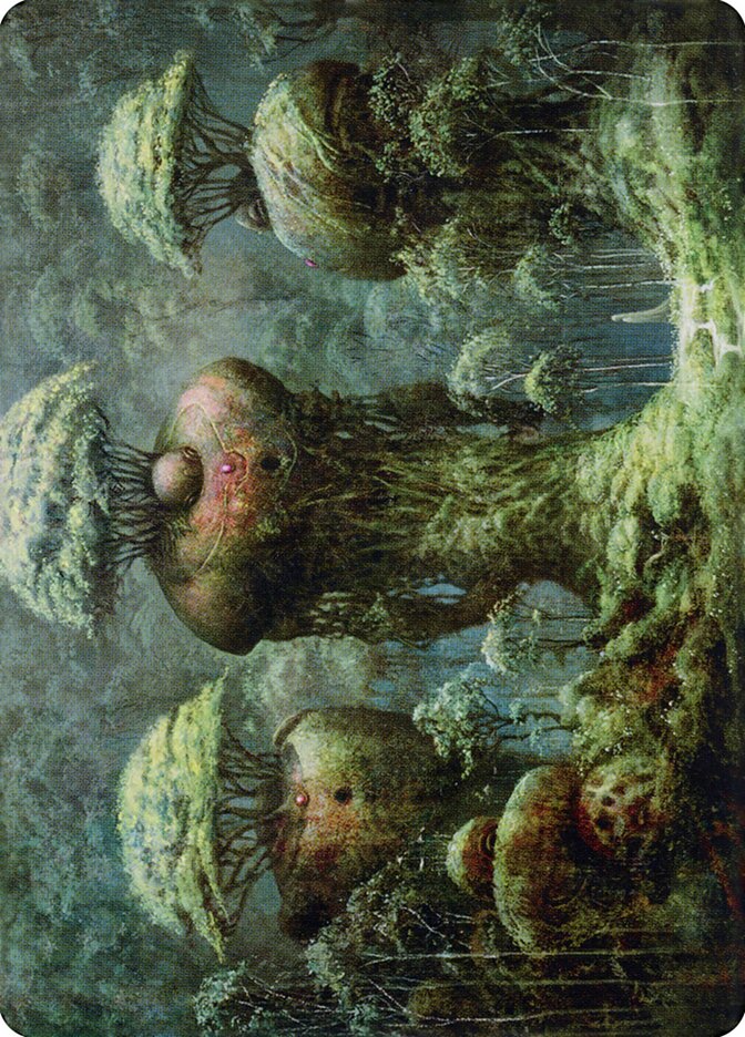 image Forest // Forest