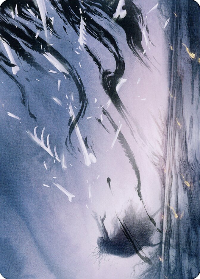 image Shadow Prophecy // Shadow Prophecy