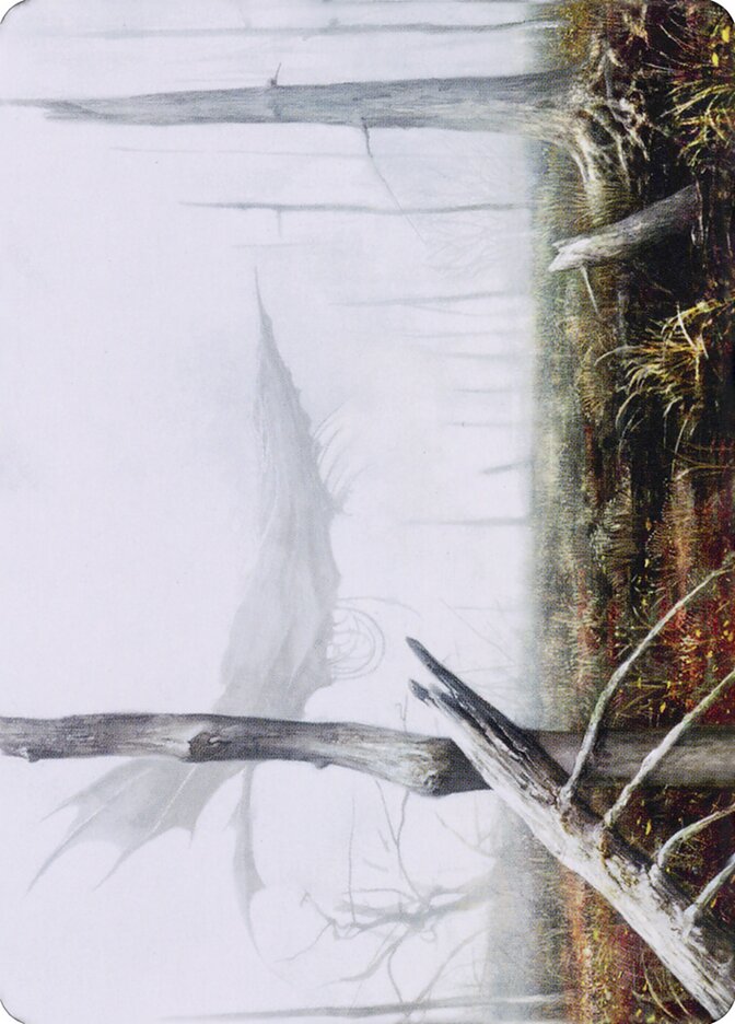 image Swamp // Swamp