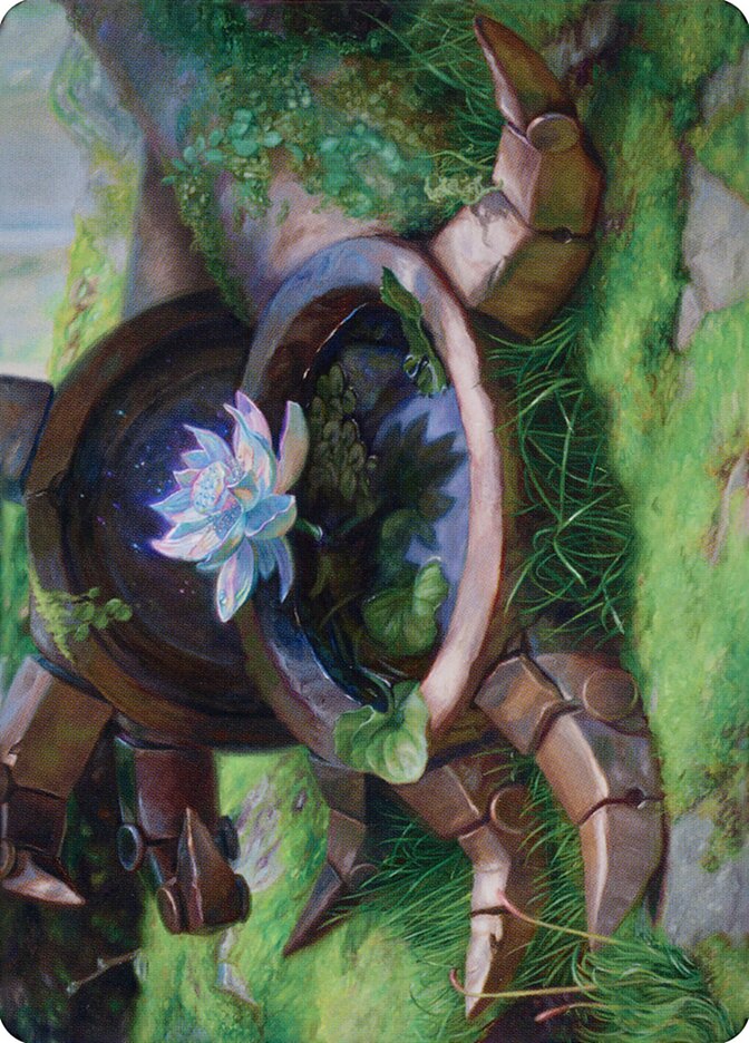 image Timeless Lotus // Timeless Lotus