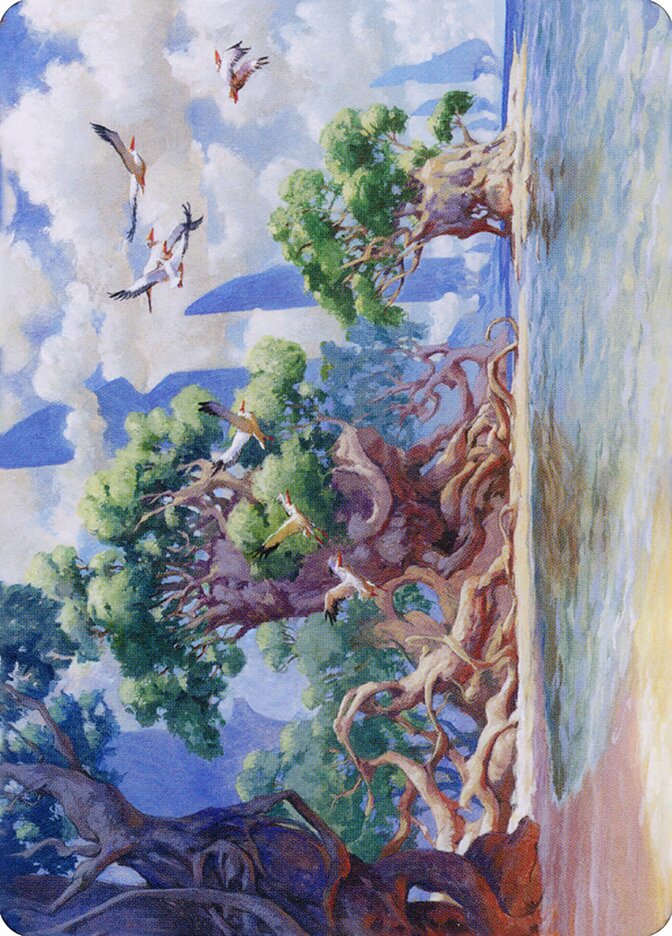 image Yavimaya Coast // Yavimaya Coast