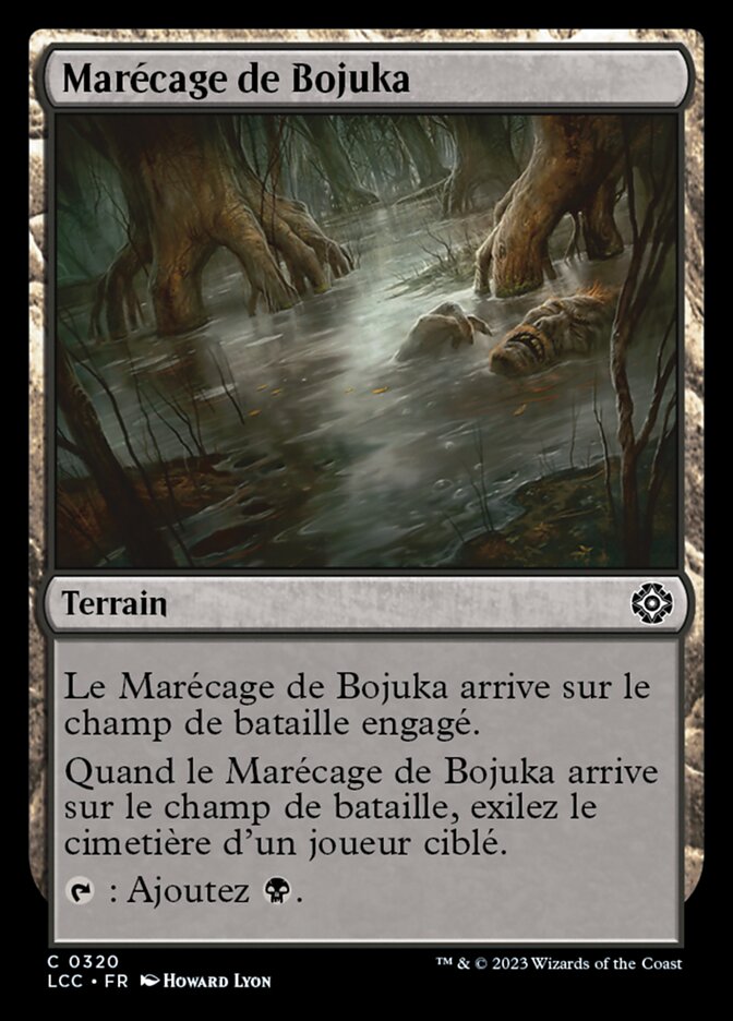image Marécage de Bojuka