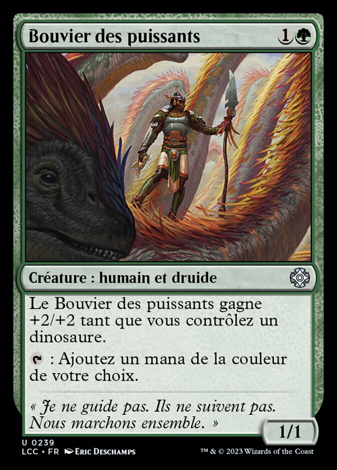 image Bouvier des puissants