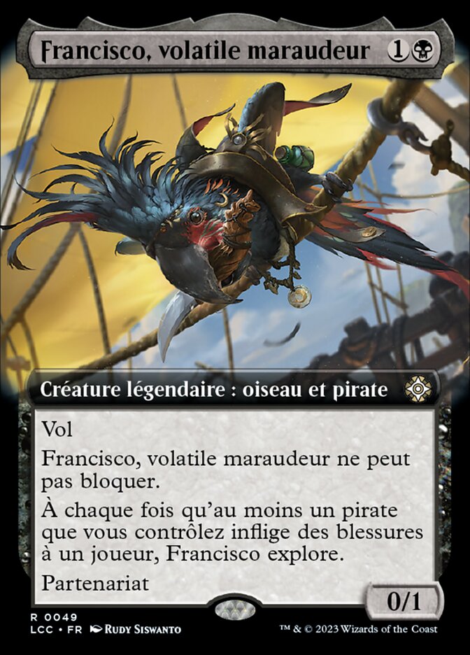image Francisco, volatile maraudeur