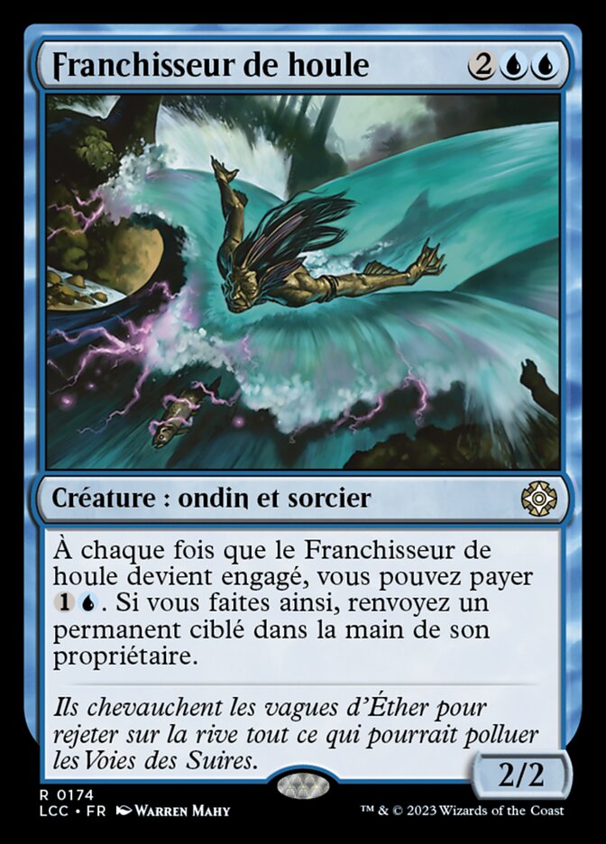 image Franchisseur de houle