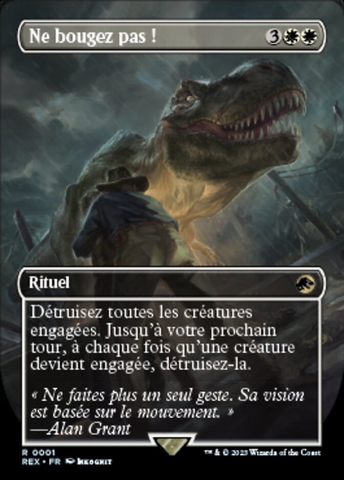 image Ne bougez pas !