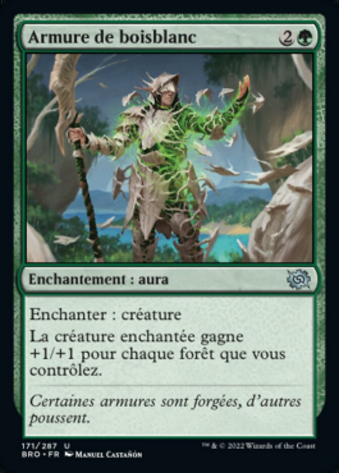 image Armure de boisblanc