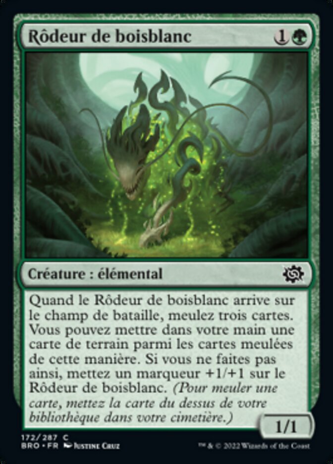 image Rôdeur de boisblanc