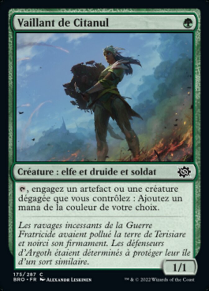 image Vaillant de Citanul