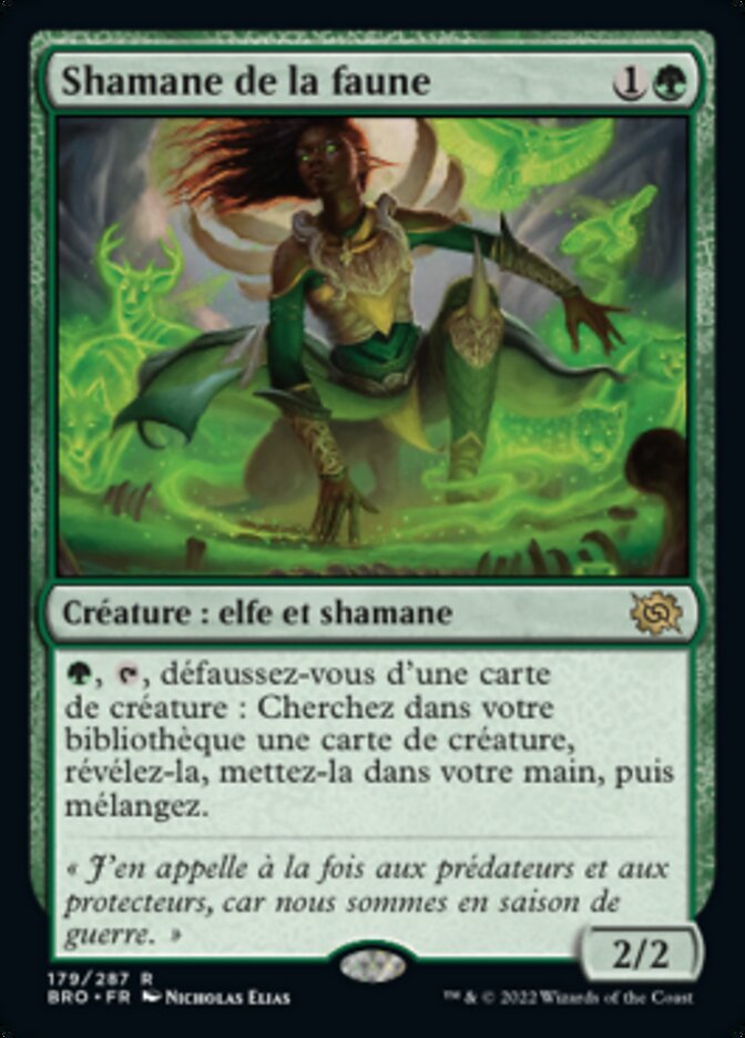 image Shamane de la faune